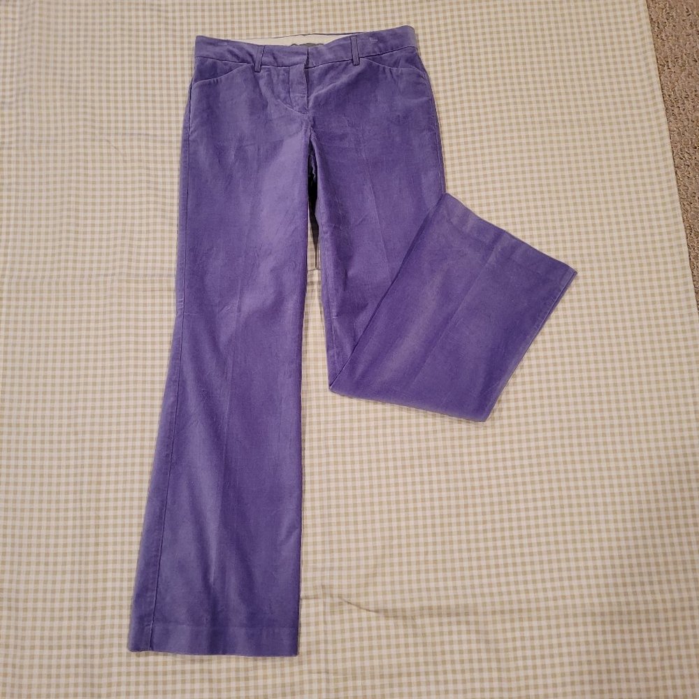 EXPRESS  NWT   velvet pants size 6